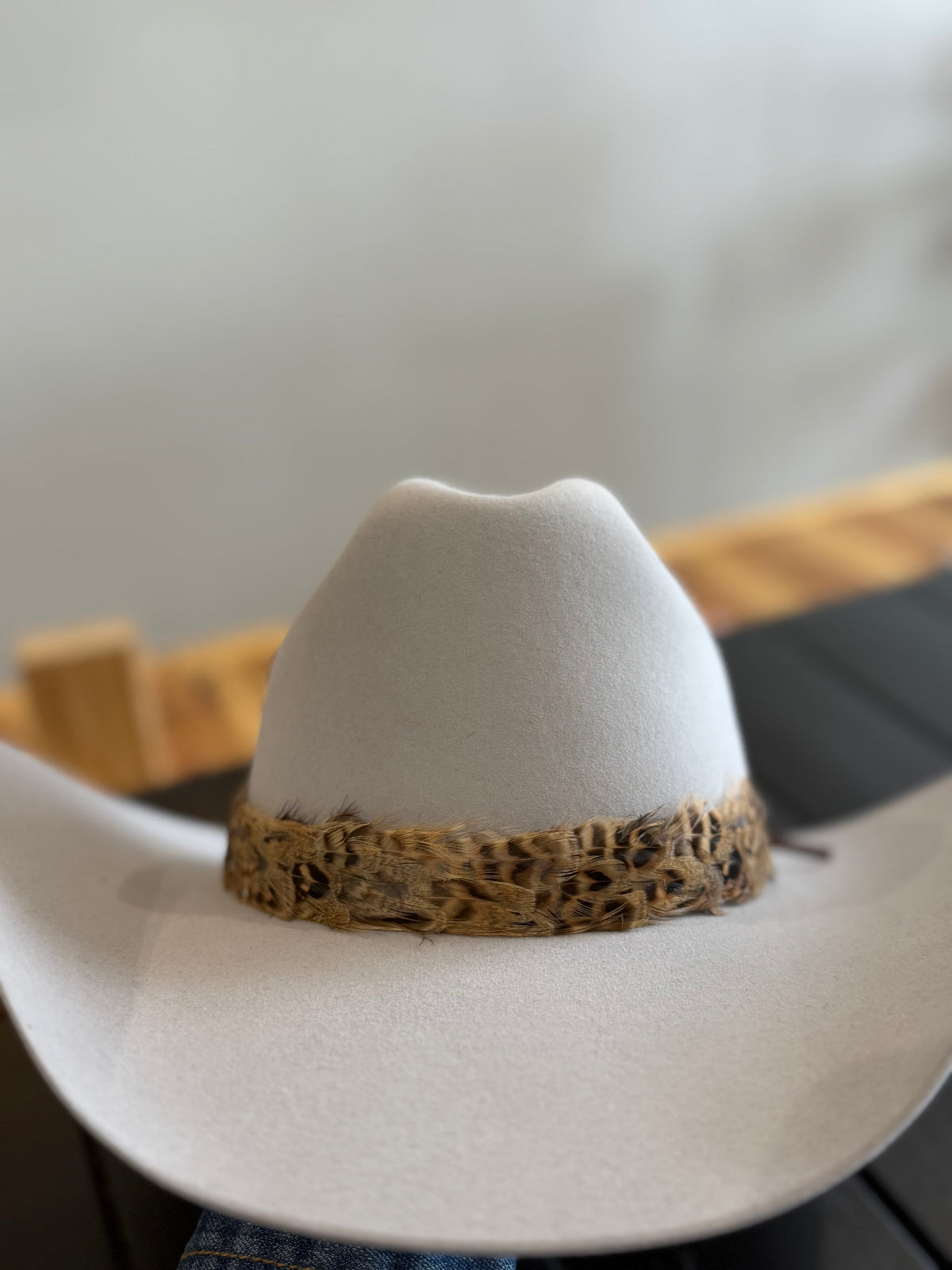 Wild Western Feather Hat band